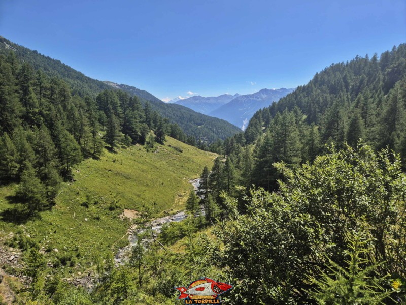 La première partie du chemin du retour relie la prise d'eau sur la Tièche au panorama. Randonnée au bisse du Tsittoret, Crans-Montana, Valais central.