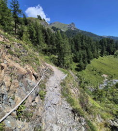 🏞️ Bisse du Tsittoret – Crans-Montana