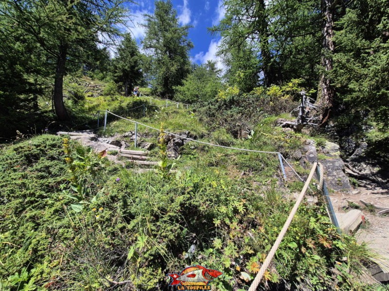 Le chemin qui grimpe à la prise d'eau. Randonnée au bisse du Tsittoret, Crans-Montana, Valais central.