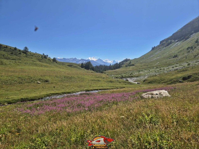 Le vallon de la Tièche sous la cascade. Cascade de la Tièche, Crans-Montana. Le vallon de la Tièche sous la cascade. Cascade de la Tièche, Crans-Montana.