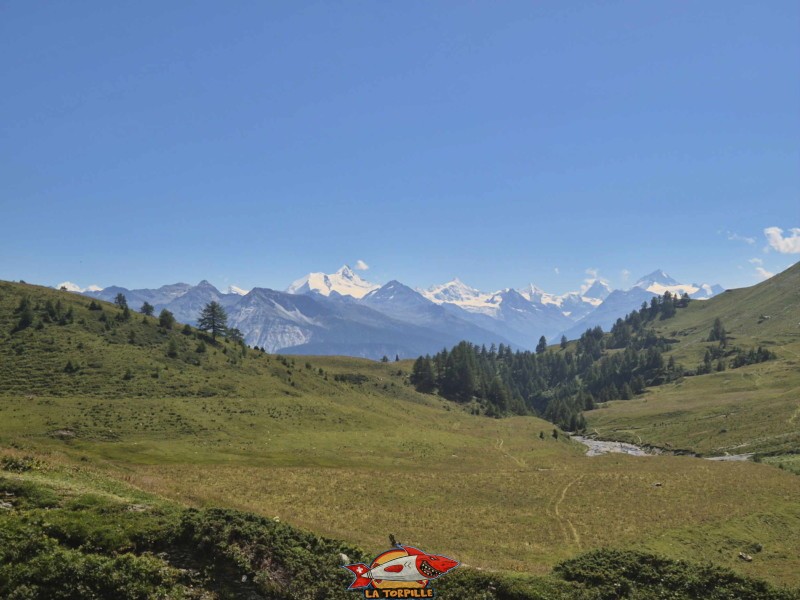 La vue direction sud depuis la cascade de la Tièche. De gauche à droite, le dom des Mischabel, le Weisshorn, le Zinalrothorn, le Cervin et la Dent Blanche. La vue direction sud depuis la cascade de la Tièche. De gauche à droite, le dom des Mischabel, le Weisshorn, le Zinalrothorn, le Cervin et la Dent Blanche. Cascade de la Tièche, Crans-Montana.
