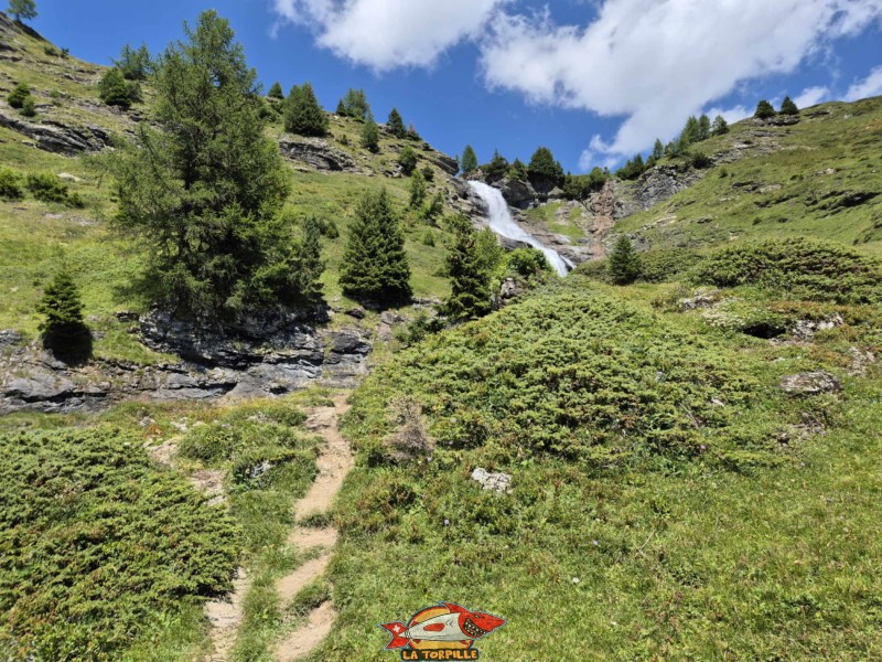Depuis la prise d'eau du bisse sur la Tièche, on monte sur la droite dans les pâturages. Cascade de la Tièche, Crans-Montana.