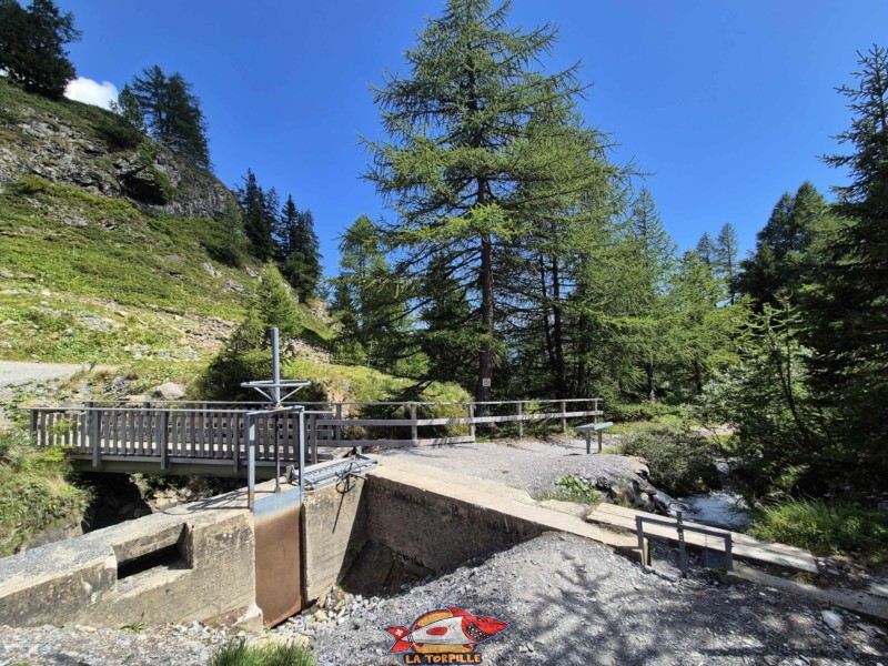 La vue depuis l'amont avec la prise d'eau du bisse sur la droite. Randonnée au bisse du Tsittoret, Crans-Montana, Valais central.