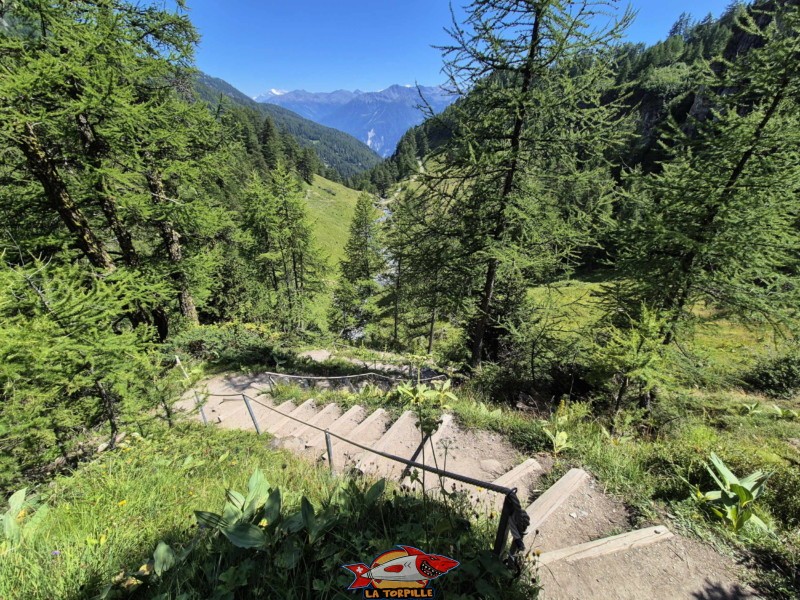 La première partie du chemin du retour relie la prise d'eau sur la Tièche au panorama. Randonnée au bisse du Tsittoret, Crans-Montana, Valais central.