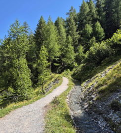 🏞️ Bisse du Tsittoret – Crans-Montana
