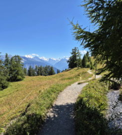 🏞️ Bisse du Tsittoret – Crans-Montana