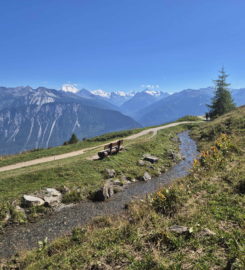 🏞️ Bisse du Tsittoret – Crans-Montana