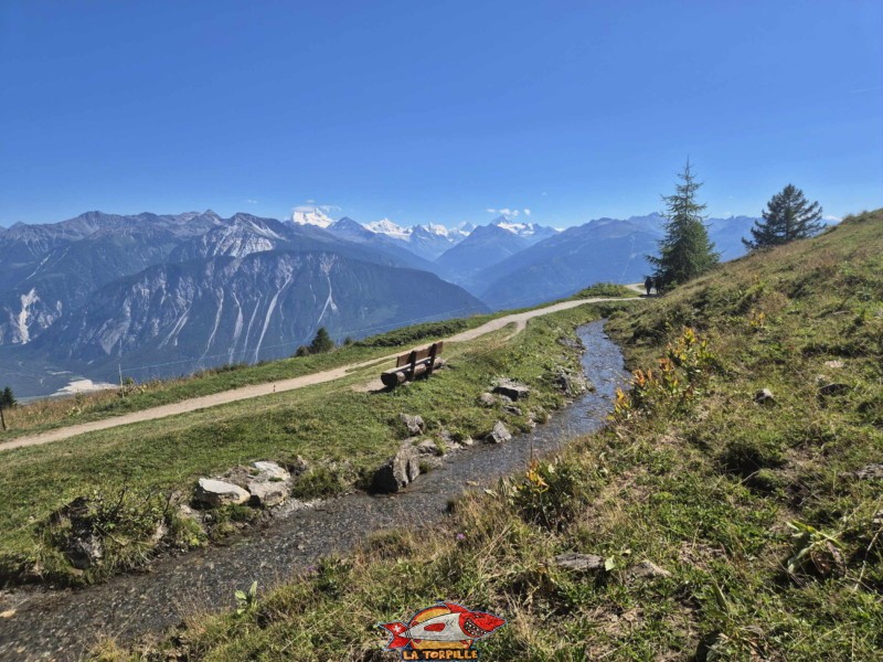 Au milieu du parcours retour, la vue magnifique, direction sud-sud-est, sur les 4000 du val d'Anniviers et le Cervin. Randonnée au bisse du Tsittoret, Crans-Montana, Valais central.