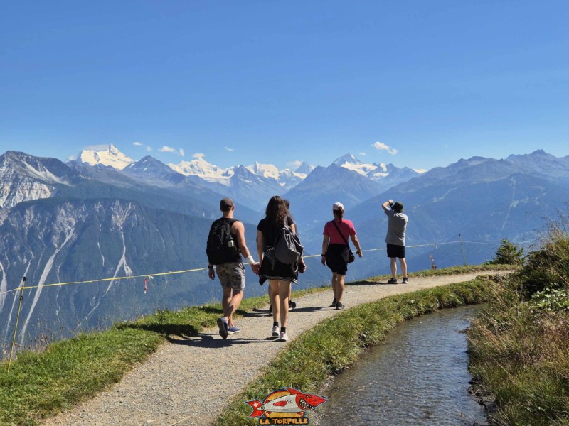 Au milieu du parcours retour, la vue magnifique, direction sud-sud-est, sur les 4000 du val d'Anniviers et le Cervin. Randonnée au bisse du Tsittoret, Crans-Montana, Valais central.
