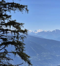 🏞️ Bisse du Tsittoret – Crans-Montana
