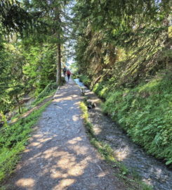 🏞️ Bisse du Tsittoret – Crans-Montana