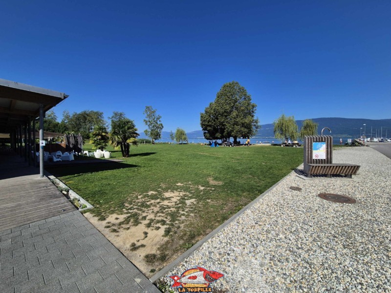 L'arrivée à la plage de Cheyres. Plage de Cheyres, Canton de Fribourg, lac de Neuchâtel.