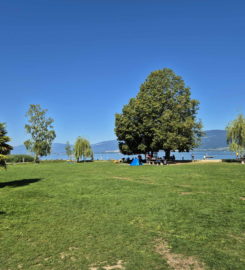 🏖️ Plage de Cheyres