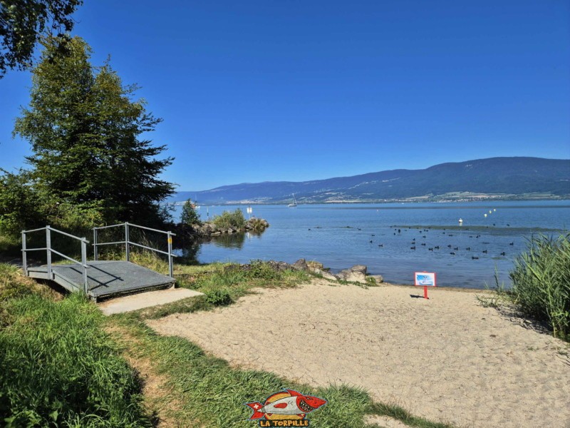 La zone dédiée aux chiens. Plage de Cheyres, Canton de Fribourg, lac de Neuchâtel.