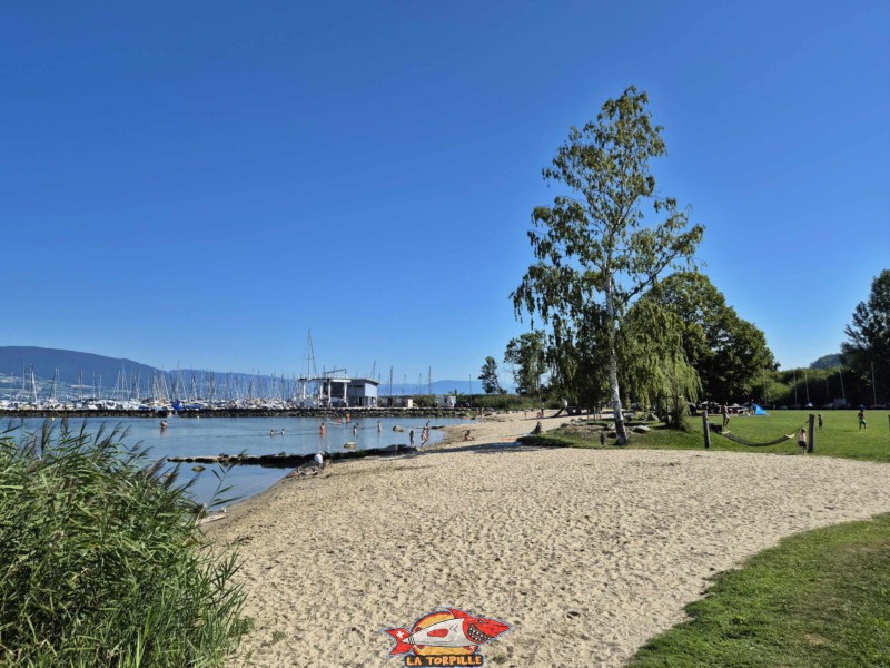Les photos au niveau du côté ouest de la plage de Cheyres. Plage de Cheyres, Canton de Fribourg, lac de Neuchâtel.