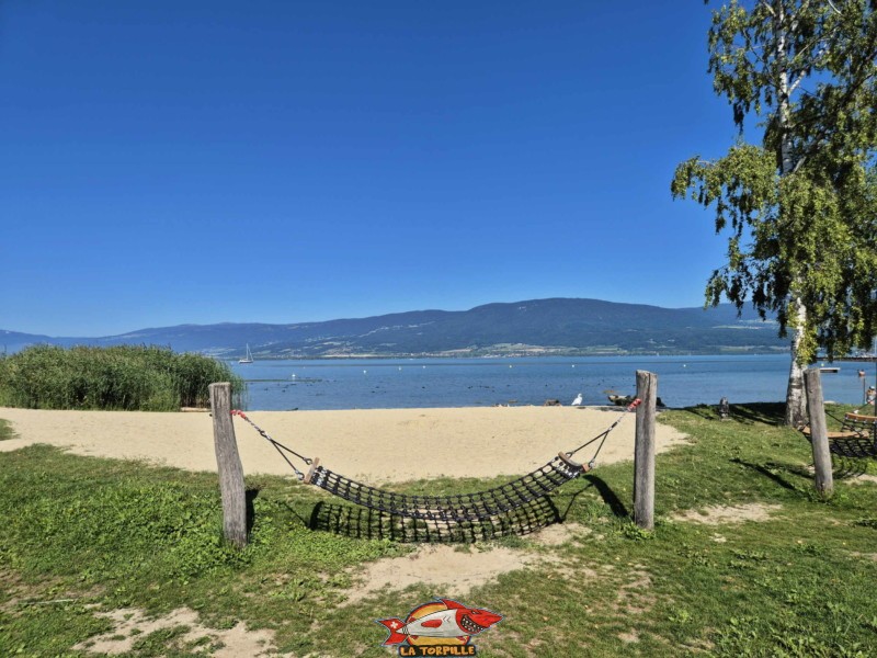Un hamac au bord de la plage. Plage de Cheyres, Canton de Fribourg, lac de Neuchâtel.