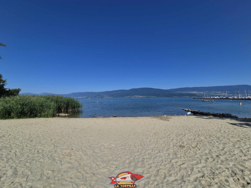 Les photos au niveau du côté ouest de la plage de Cheyres. Plage de Cheyres, Canton de Fribourg, lac de Neuchâtel.