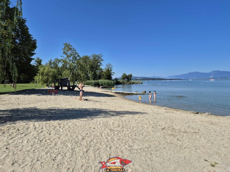 Les photos au niveau du côté est de la plage de Cheyres. Plage de Cheyres, Canton de Fribourg, lac de Neuchâtel.