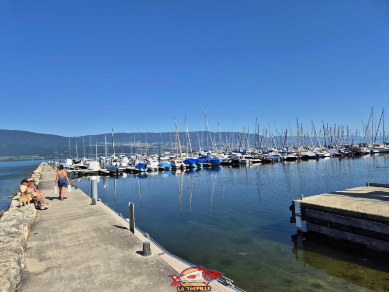 La jetée du port de Cheyres. Plage de Cheyres, Canton de Fribourg, lac de Neuchâtel.