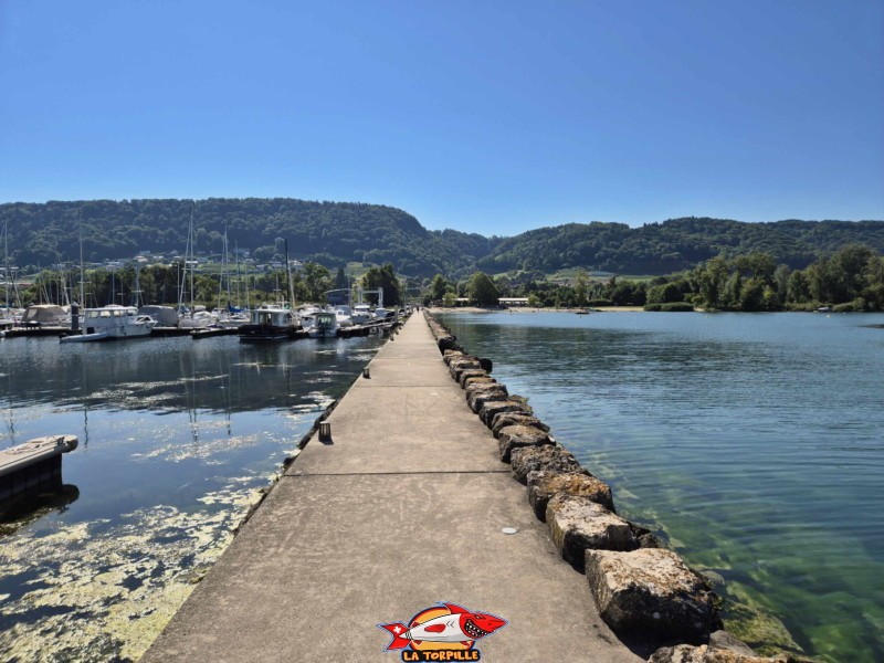 La vue depuis l'extrémité de la jetée du port de Cheyres en direction de la plage. Plage de Cheyres, Canton de Fribourg, lac de Neuchâtel.