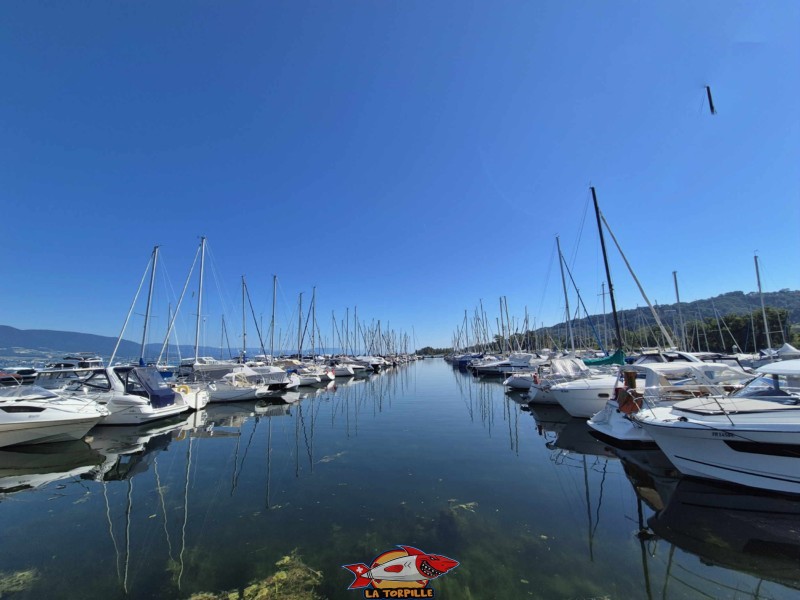 Le port de Cheyres. Plage de Cheyres, Canton de Fribourg, lac de Neuchâtel.