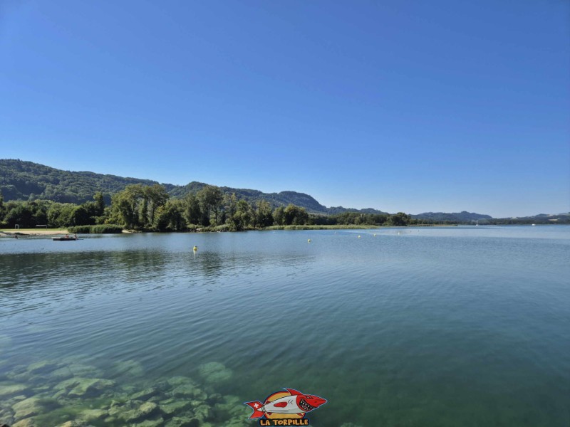 La Grande Cariçaie avec la plage de Cheyres sur la gauche de l'image. Plage de Cheyres, Canton de Fribourg, lac de Neuchâtel.