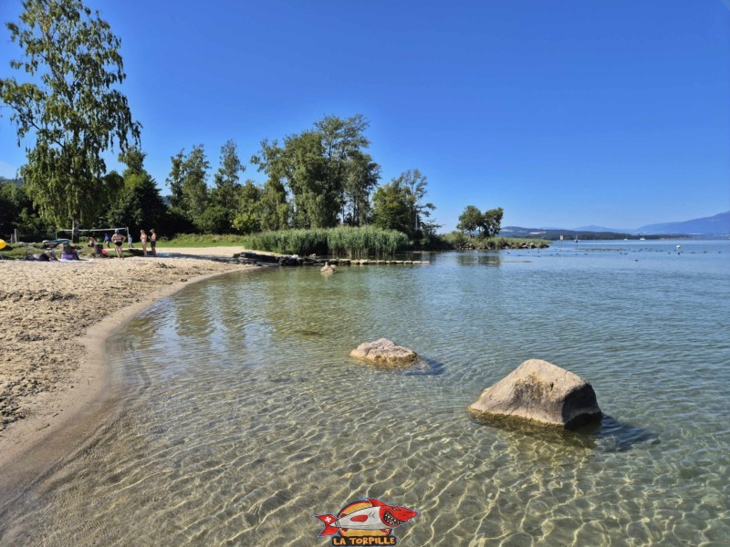 Les photos au niveau du côté ouest de la plage de Cheyres. Plage de Cheyres, Canton de Fribourg, lac de Neuchâtel.