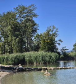 🏖️ Plage de Cheyres
