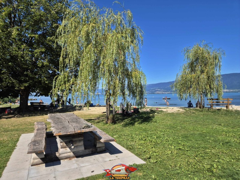 Une des tables de pique-nique. Plage de Cheyres, Canton de Fribourg, lac de Neuchâtel.