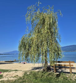 🏖️ Plage de Cheyres