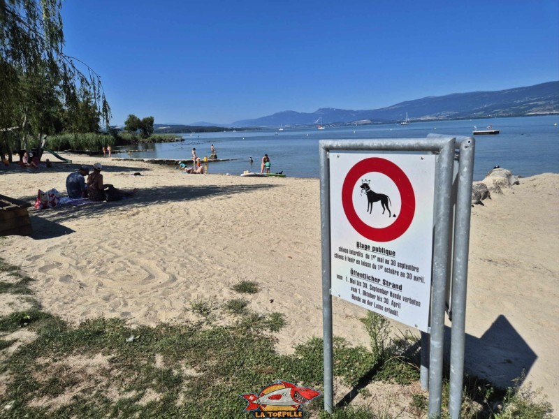 La plage principale interdite aux chiens. Plage de Cheyres, Canton de Fribourg, lac de Neuchâtel.