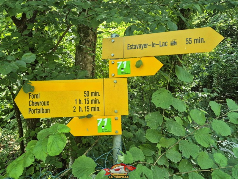 Un panneau, au niveau de plage de La Corbière. Il indique que Forel se trouve à 50 minutes de marche et la gare d'Estavayer-le-Lac à 55 minutes. Un panneau, au niveau de plage de La Corbière. Il indique que Forel se trouve à 50 minutes de marche et la gare d'Estavayer-le-Lac à 55 minutes. Plage de la Corbière, Estavayer, lac de Neuchâtel