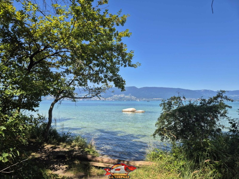 La vue sur le lac de Neuchâtel juste avant d'arriver à la plage. Plage de la Corbière, Estavayer, lac de Neuchâtel La vue sur le lac de Neuchâtel juste avant d'arriver à la plage. Plage de la Corbière, Estavayer, lac de Neuchâtel