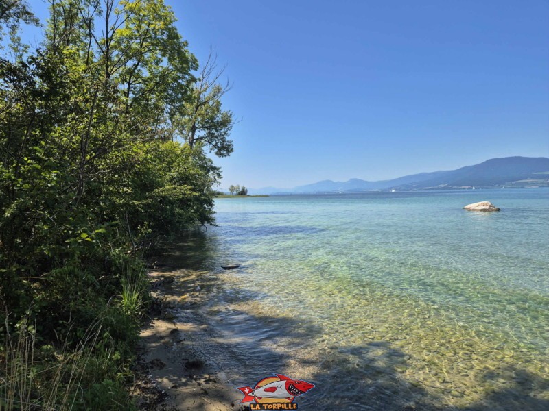 Plage de sable de la Corbière, Estavayer, lac de Neuchâtel