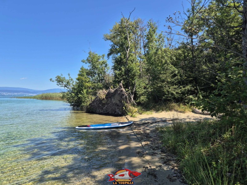 Plage de sable de la Corbière, Estavayer, lac de Neuchâtel