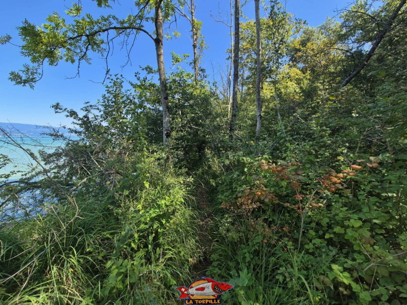Arrivé au bord du lac, on tourne à droite pour prendre, sur quelques mètres, un sentier le long du rivage. Plage de la Corbière, Estavayer, lac de Neuchâtel Arrivé au bord du lac, on tourne à droite pour prendre, sur quelques mètres, un sentier le long du rivage. Plage de la Corbière, Estavayer, lac de Neuchâtel
