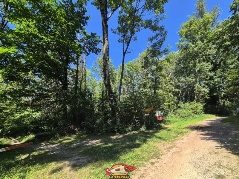 Le petit chemin sur la gauche à partir de la route.. Plage d'Autavaux, commune d'Estavayer. Le petit chemin sur la gauche à partir de la route. Plage d'Autavaux, commune d'Estavayer.