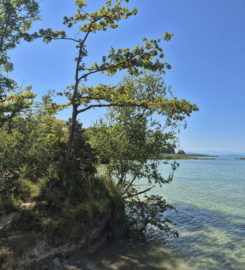 🏖️ Plage d’Autavaux – Estavayer