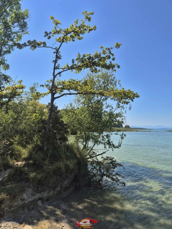 Les vues de la plage d'Autavaux depuis le nord.