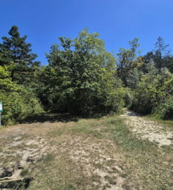 🏖️ Plage d’Autavaux – Estavayer