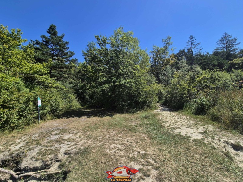 La vue sur la partie herbeuse de la plage depuis l'opposé au lac. Les vues de la plage d'Autavaux depuis le milieu. La vue sur la partie herbeuse de la plage depuis l'opposé au lac. Les vues de la plage d'Autavaux depuis le milieu.