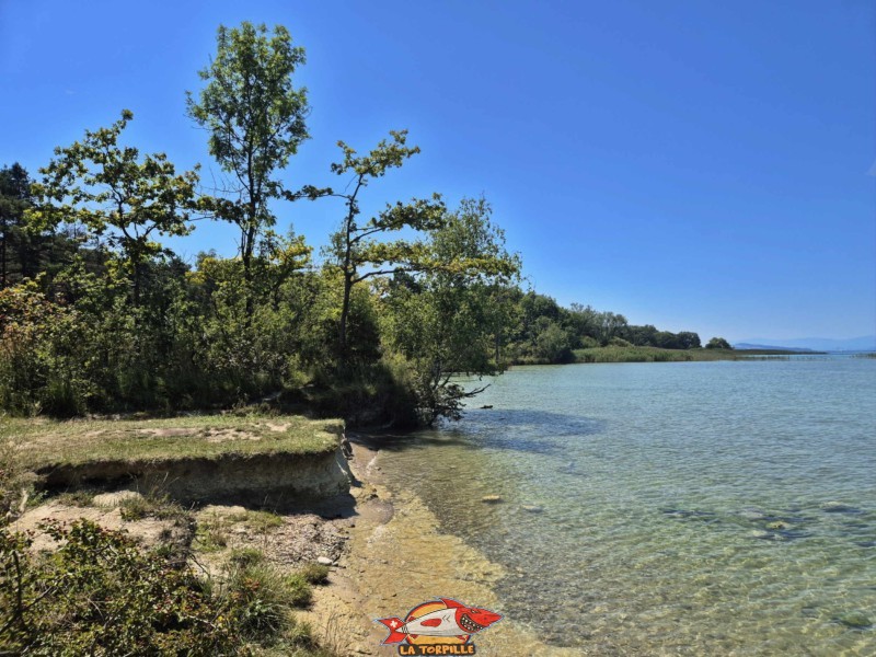 Les vues de la plage d'Autavaux depuis le nord.
