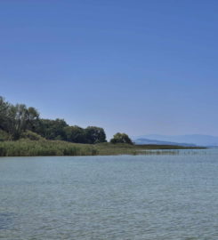 🏖️ Plage d’Autavaux – Estavayer