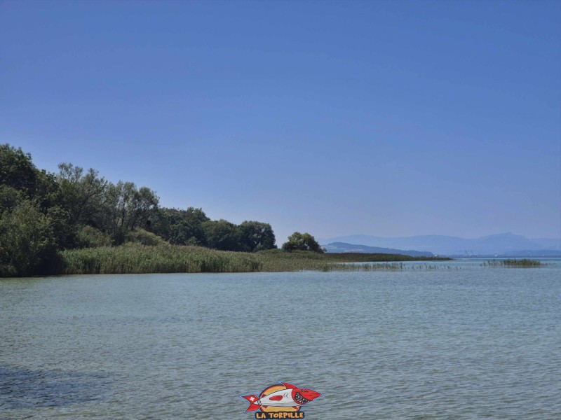 Les vues de la plage d'Autavaux depuis le nord.