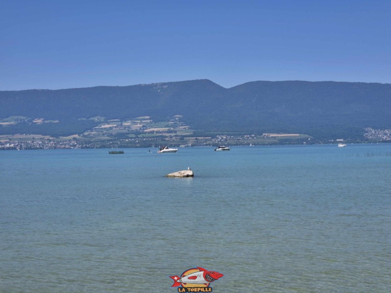 La vue sur le lac de Neuchâtel depuis la plage d'Autavaux.