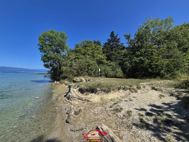 Les vues de la plage d'Autavaux depuis le sud.