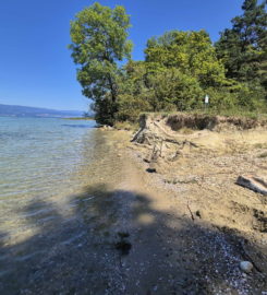 🏖️ Plage d’Autavaux – Estavayer