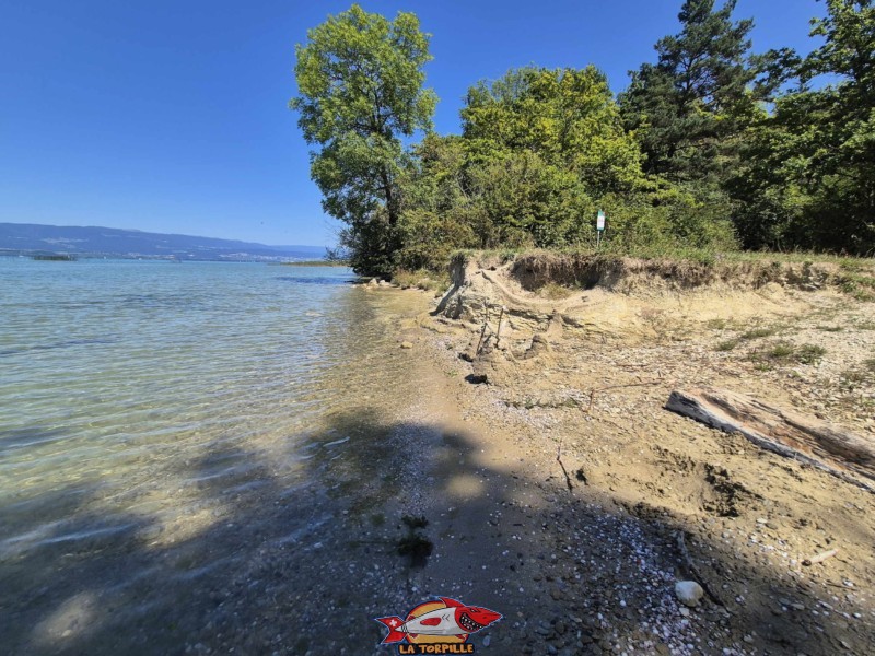 Les vues de la plage d'Autavaux depuis le sud.