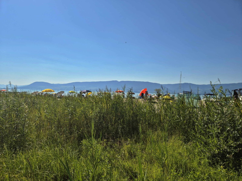 plage, Grande Cariçaie. Plage de Gletterens, Broye fribourgeoise, lac de Neuchâtel.