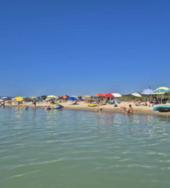 🏖️ Plage de Gletterens